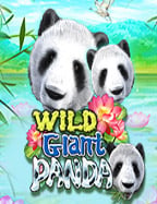 เกมส์ ส ล๊ อ ต วิธีเล่น และเคล็ดลับ